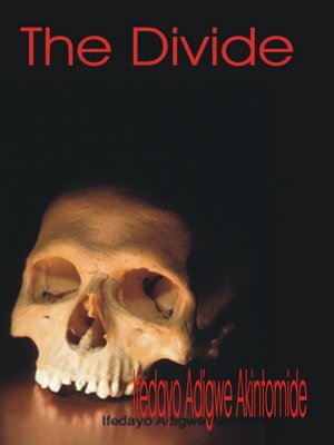 cover image of The Divide
